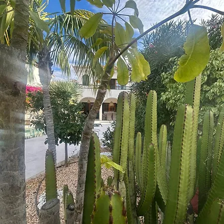 Oasis - Beautiful House With Private Pool Feriehus Chayofa