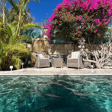 Vakantiehuis Villa Oasis - Beautiful House With Private Pool