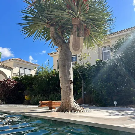 Villa Oasis - Beautiful House With Private Pool Chayofa