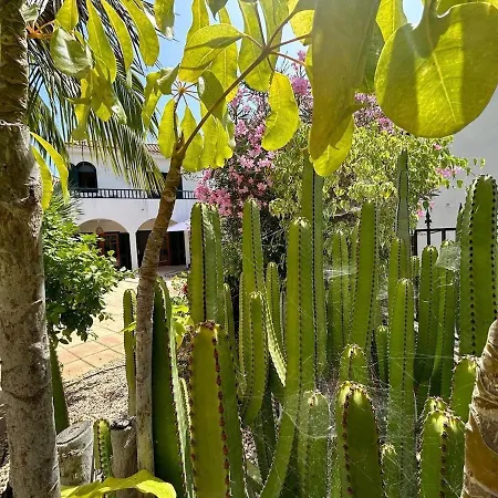 Villa Oasis - Beautiful House With Private Pool *